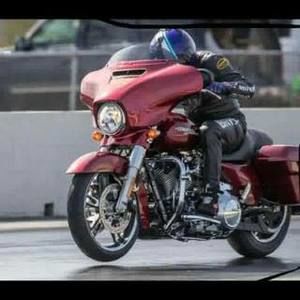 Meet your Posher, Ilia